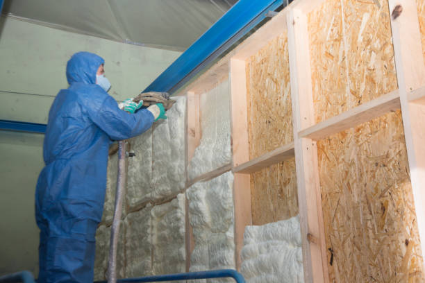 Best Insulation Repair Services  in East Richmond Heights, CA